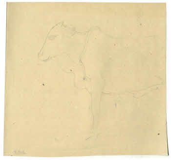 Visualizza l'immagine "FD D 157"